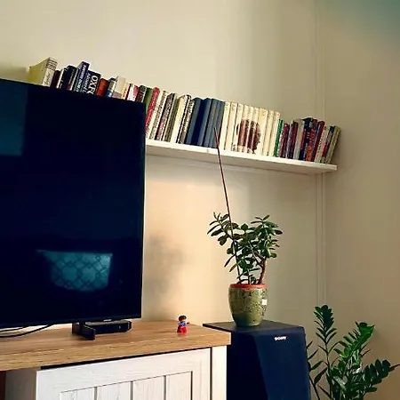 Green Studio *